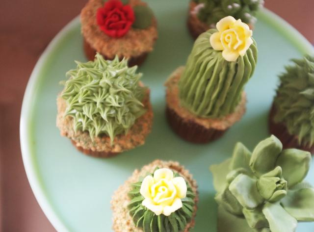 Thejoyofplants.co.uk Cacti cake recipe