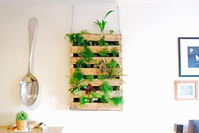 Create your own DIY Living Wall Planter Lovely Living Walls on Thejoyofplants.co.uk