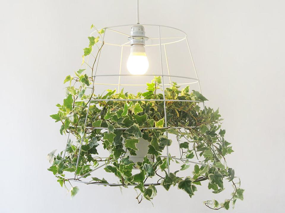 Your ivy will grow super-fast in the Photosynthesis Lamp by Meirav Barzilay