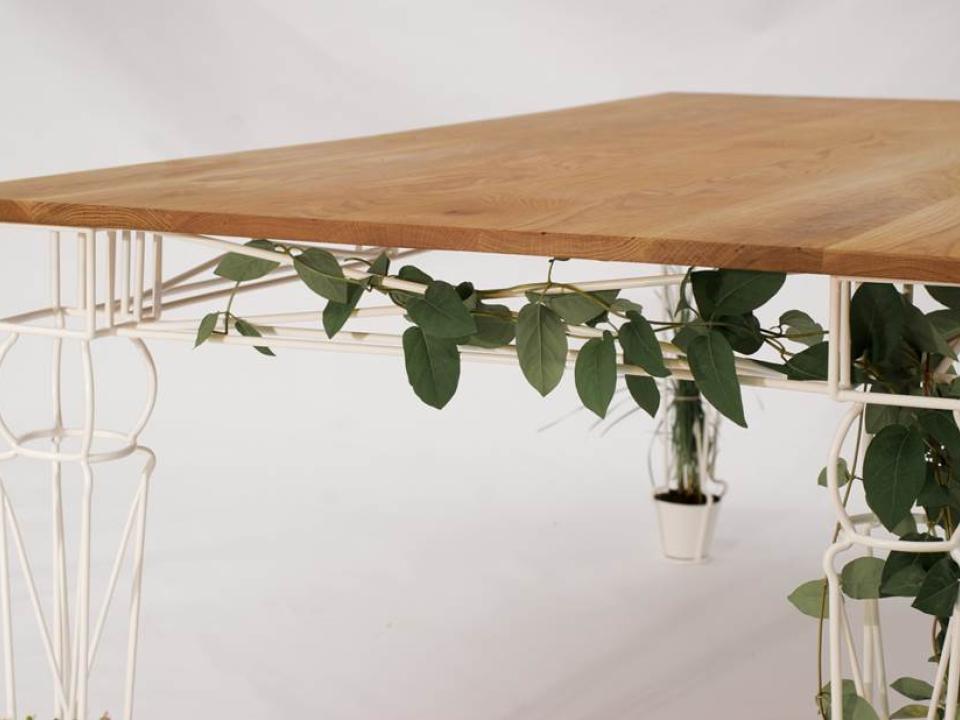 A table made of plants on thejoyofplants.co.uk