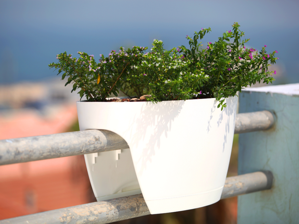 Win a white Greenbo XL planter on thejoyofplants.co.uk
