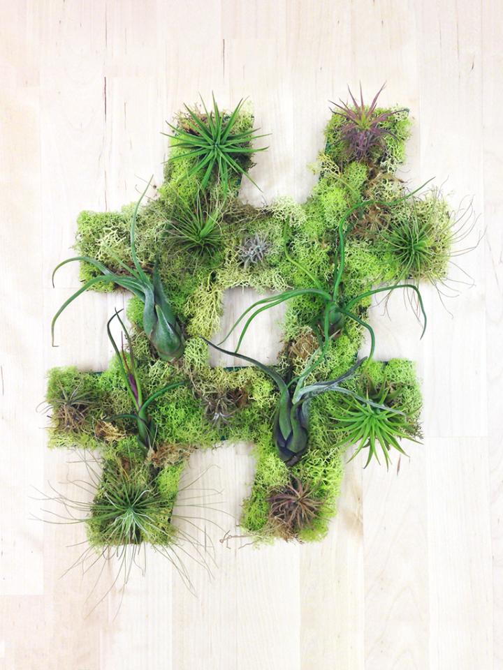 Living wall art featuring plants
