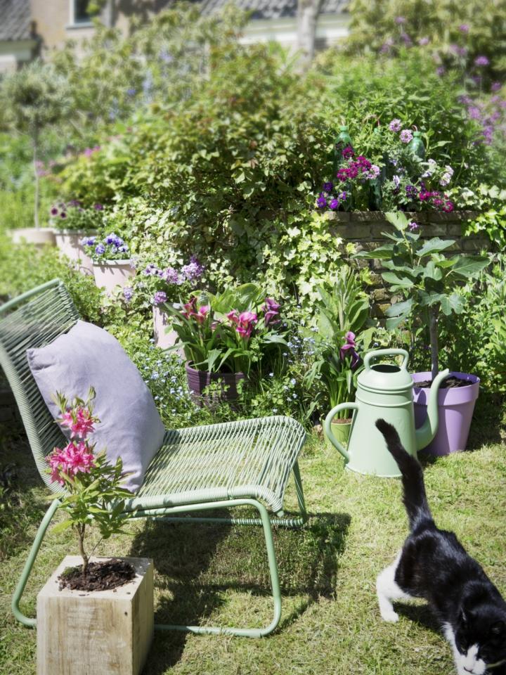 Spring 2016: a garden packed with secrets Thejoyofplants.co.uk