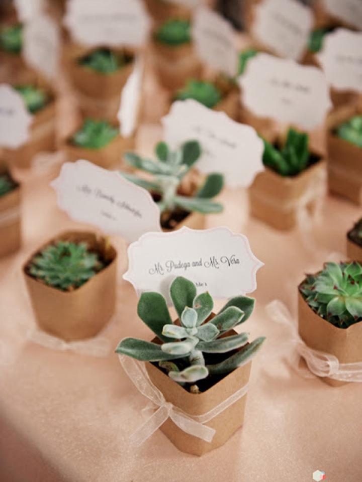Succulent Wedding Favours from Chic Meets Healthy