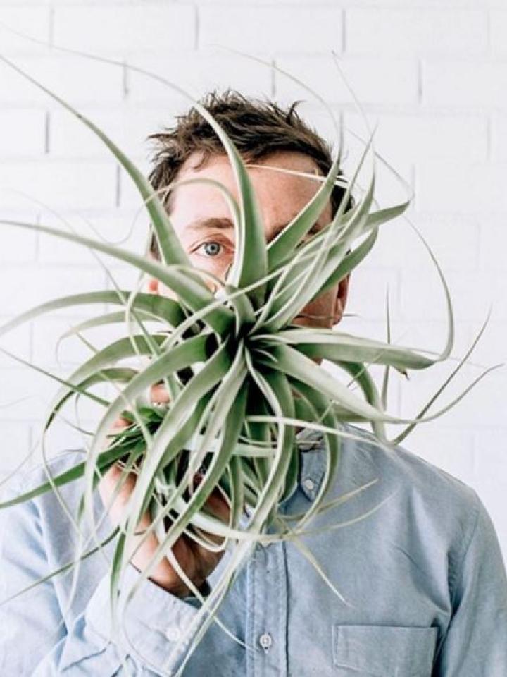 man with plant
