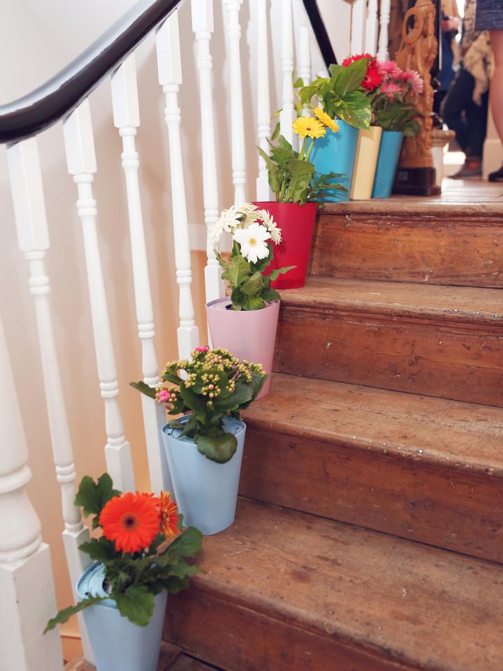 Place a plant in a colourful pot at the edge of each step