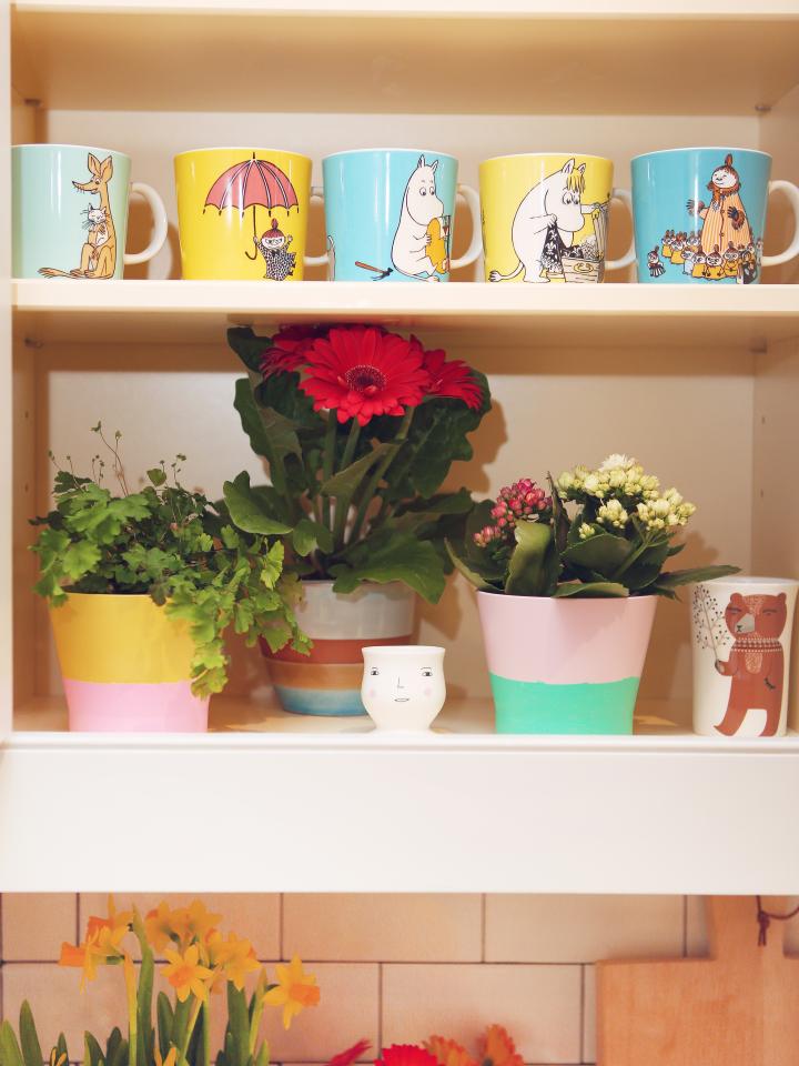 Display plants in colourful planters on your kitchen shelves