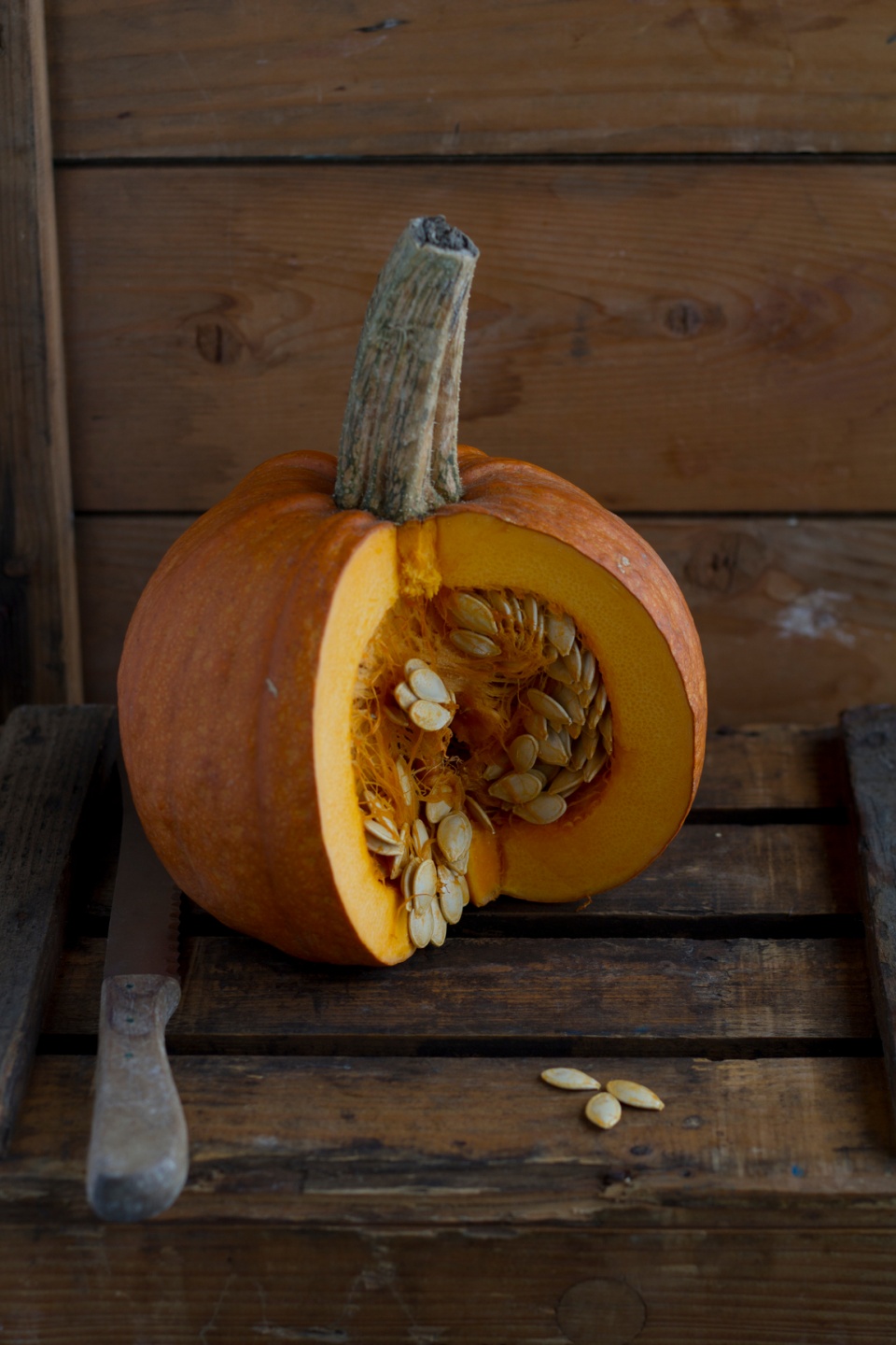DIY Planting pumpkin seeds is culinary upcycling The joy