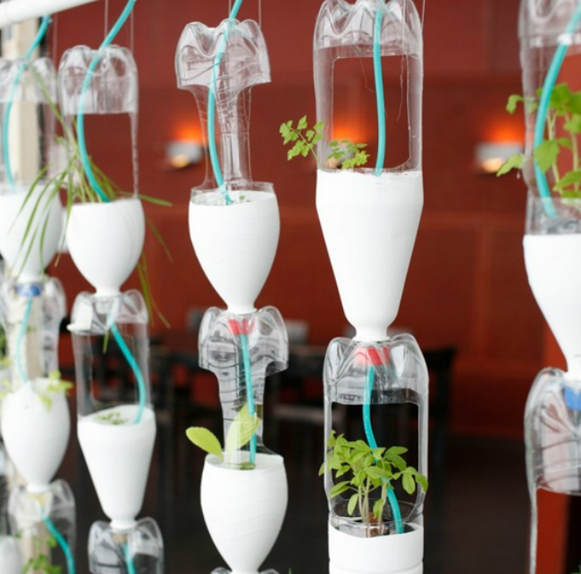 DIY Make Your Own Mini Greenhouse The joy of plants DIY Make Your Own Mini Greenhouse The joy of plants