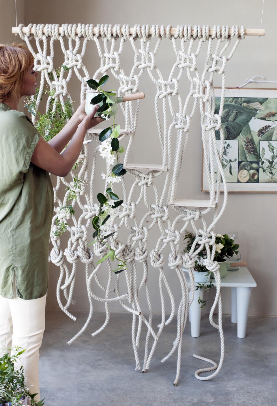 DIY White Fragrant Plants  Thejoyofplants.co.uk