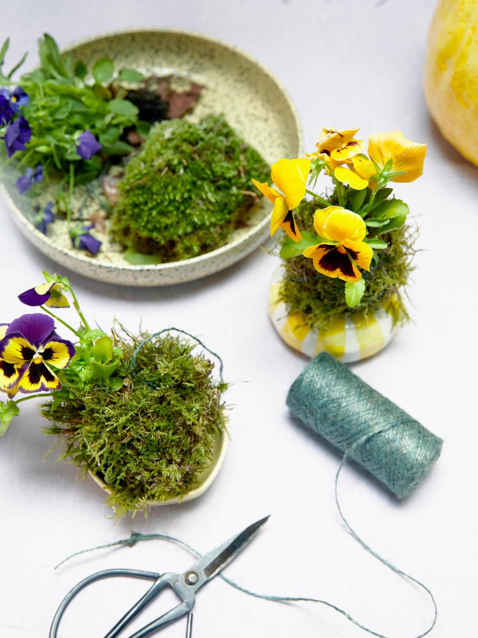 Spring bulbs Kokedama arrangement