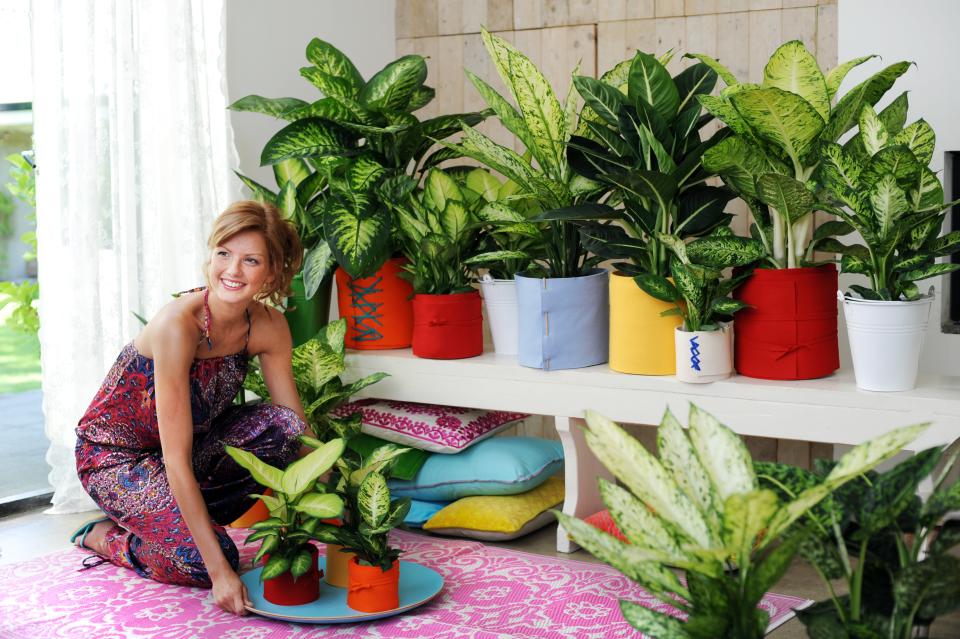 Vakantie: wat doen we met de planten? Vakantie: wat doen we met de planten? Mooiwatplantendoen.nl