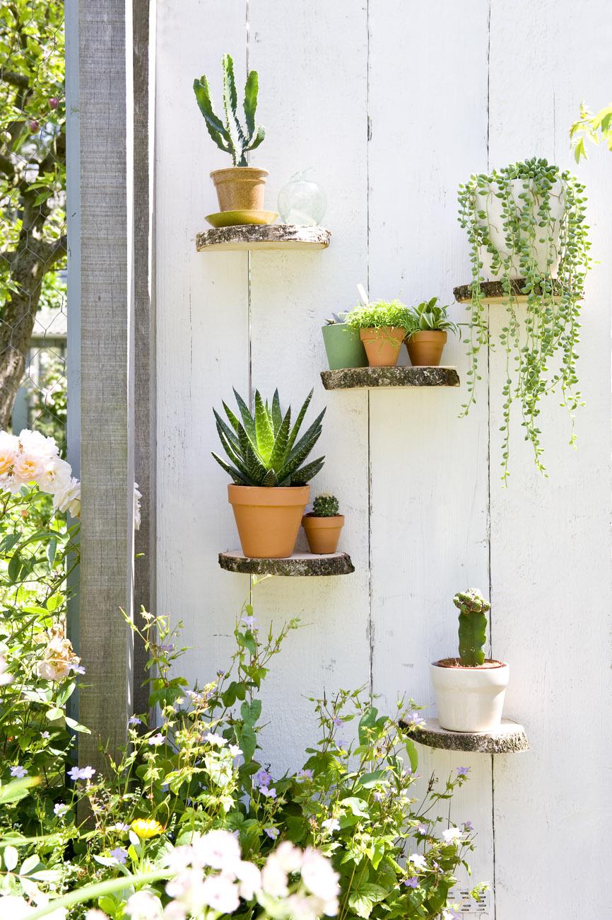 4 zomerse plantenideeën