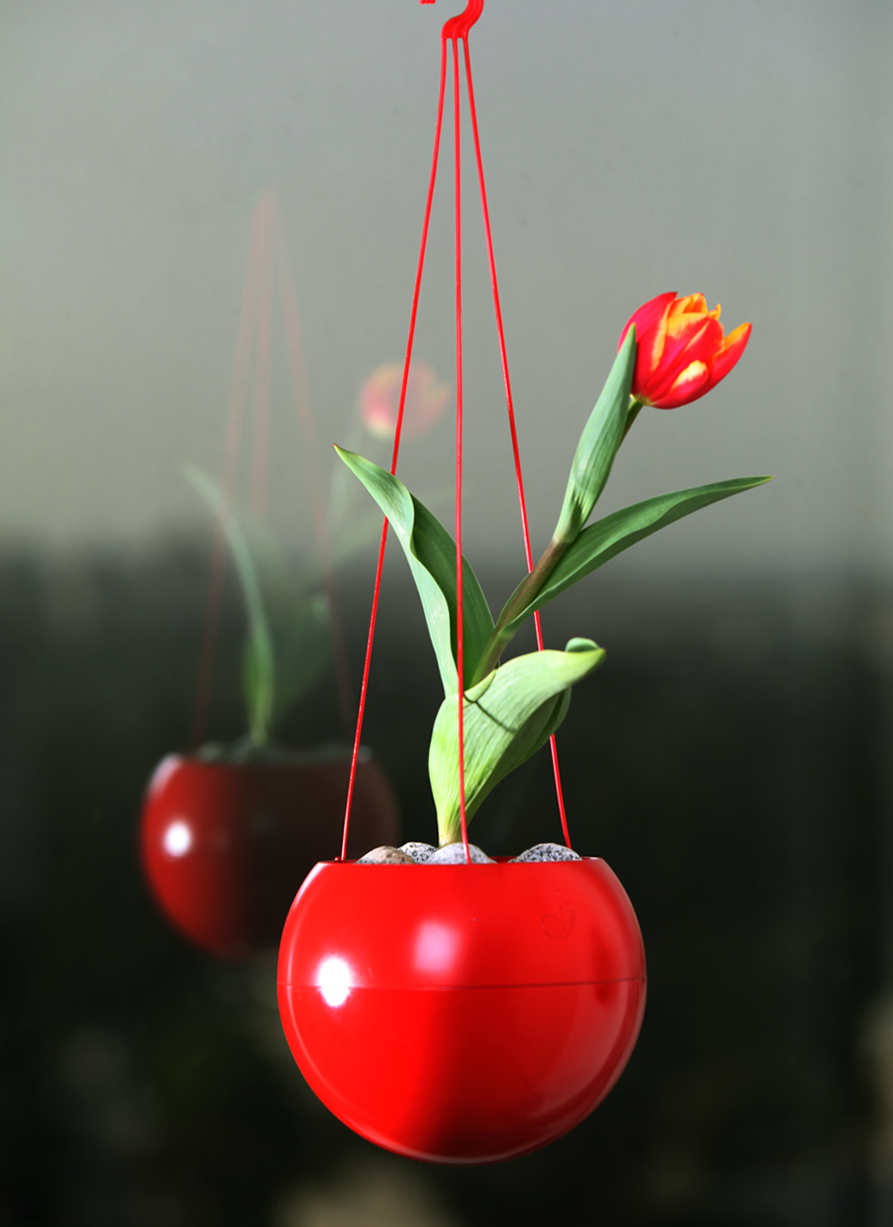 A red Greenball planter Win a white Greenbo XL planter on thejoyofplants.co.uk