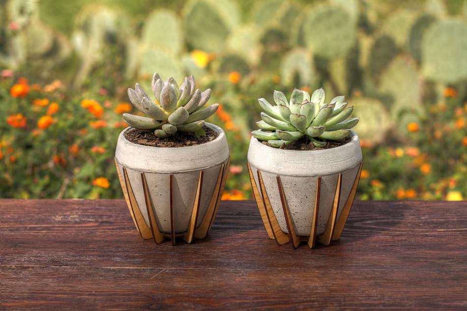 Two La Morena plant pots with succulents La Morena by Shift - the concrete plant pot