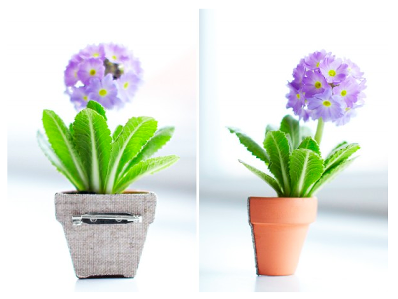 Maak een originele corsage met een miniprimula Mooiwatplantendoen.nl