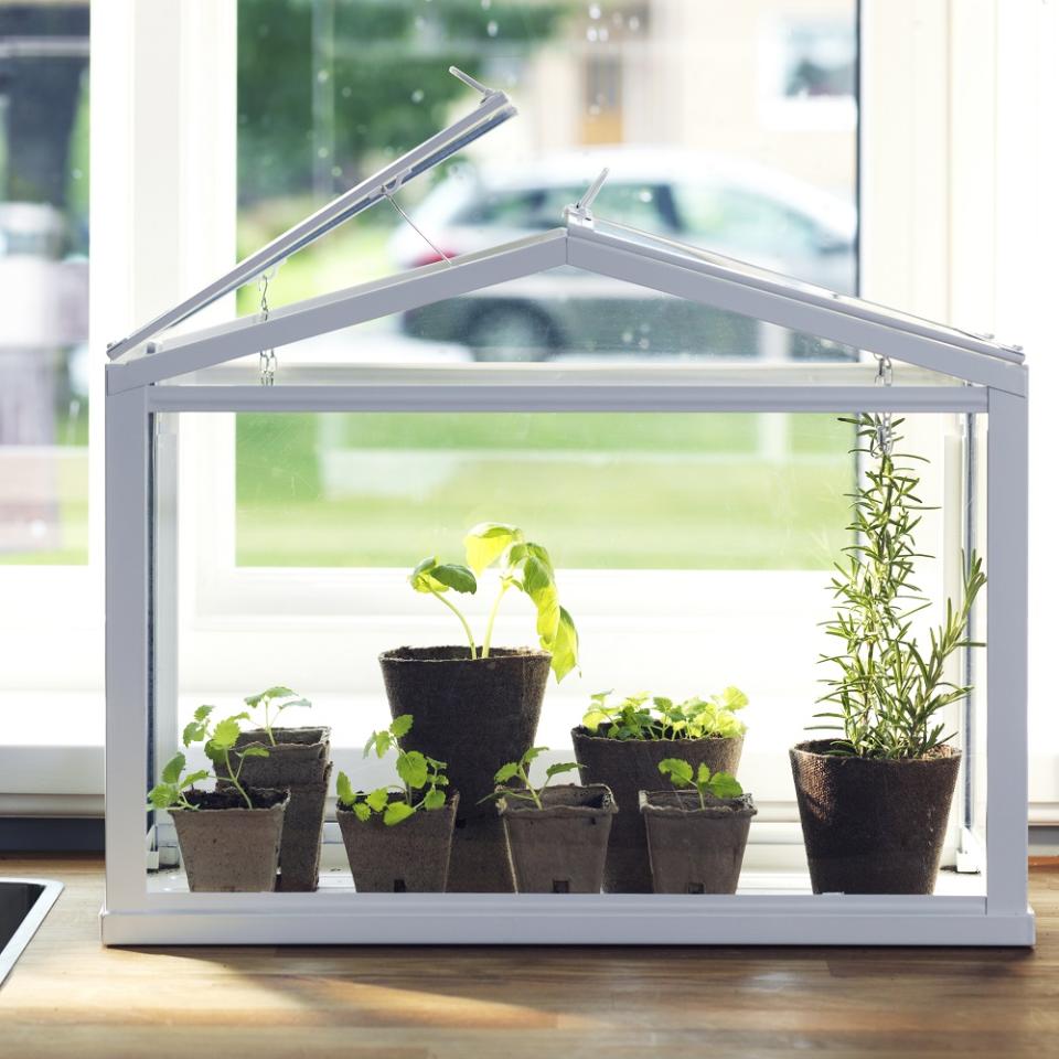 Socker Indoor Greenhouse from IKEA Indoor greenhouses on thejoyofplants.co.uk