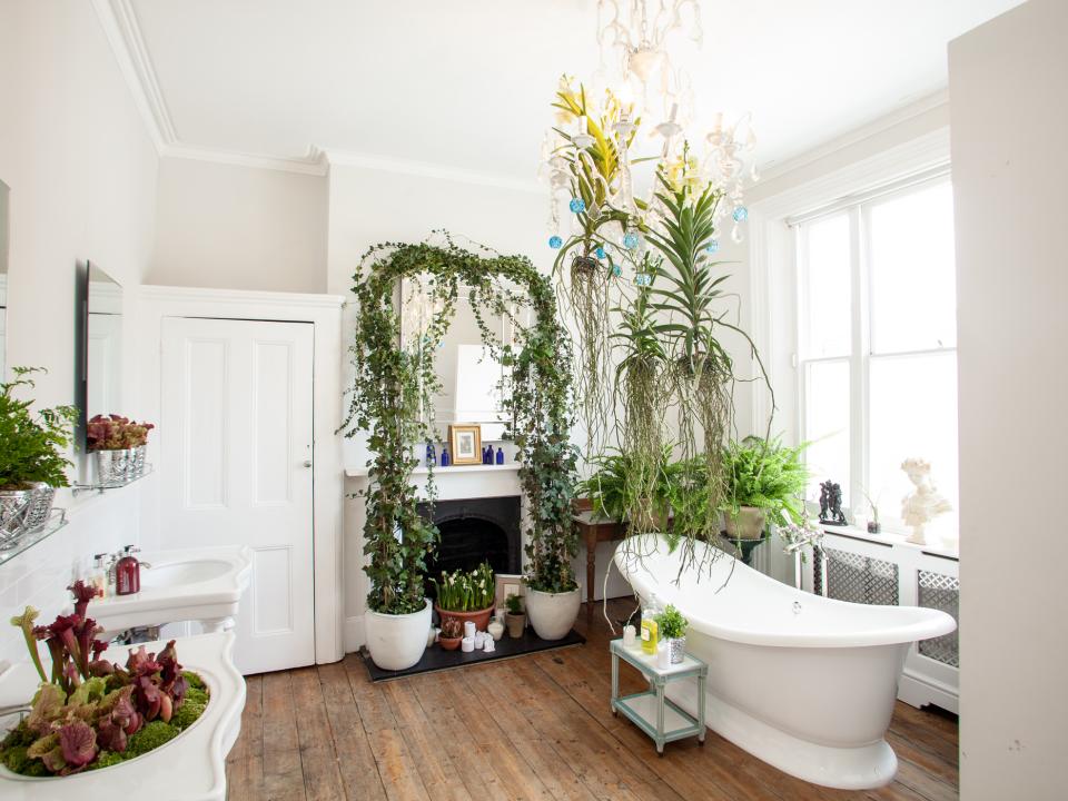 Houseplants That Thrive In Your Bathroom The Joy Of Plants - Indoor Plants For Bathrooms Uk