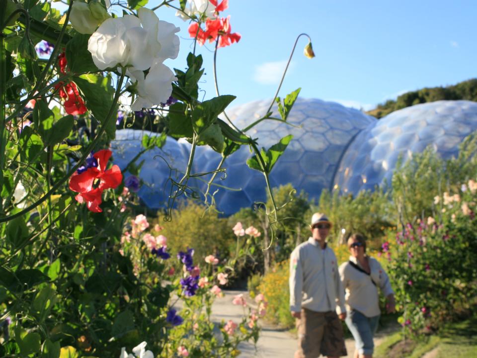 Plant inspiration from the Eden Project on thejoyofplants.co.uk