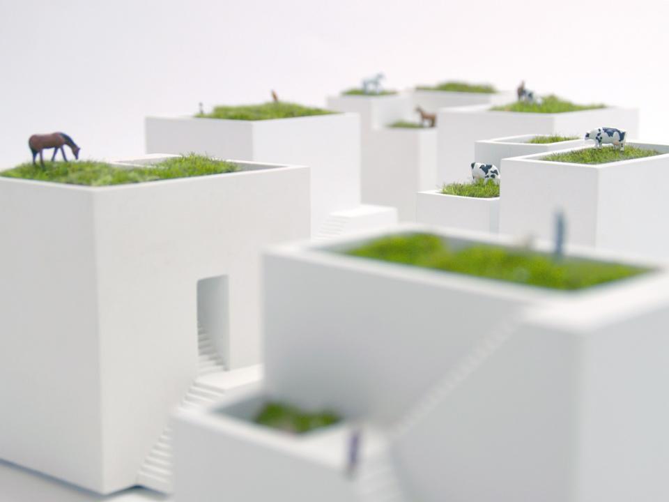 Create your own town scene of plants! Bonkei Planters on thejoyofplants.co.uk