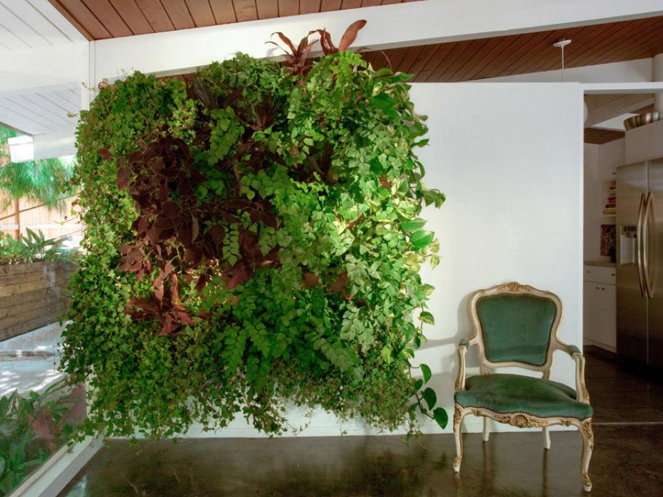 Woolly Pocket Living Wall