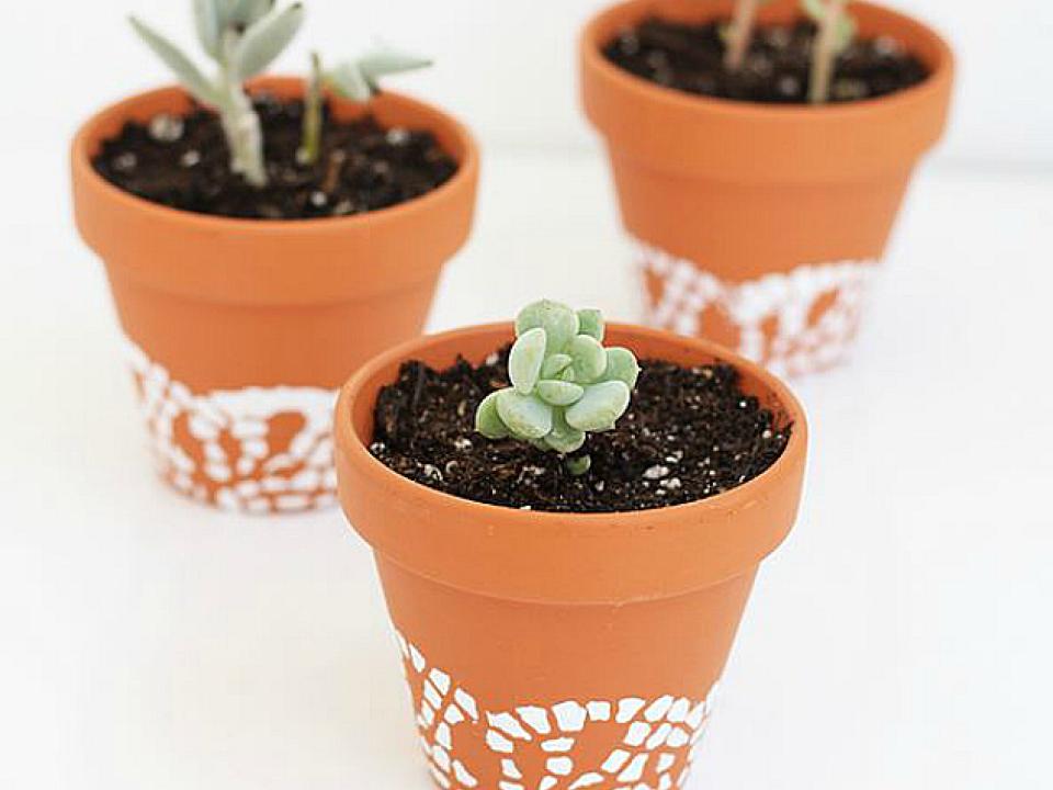 DOILY PAINTED FLOWER POTS