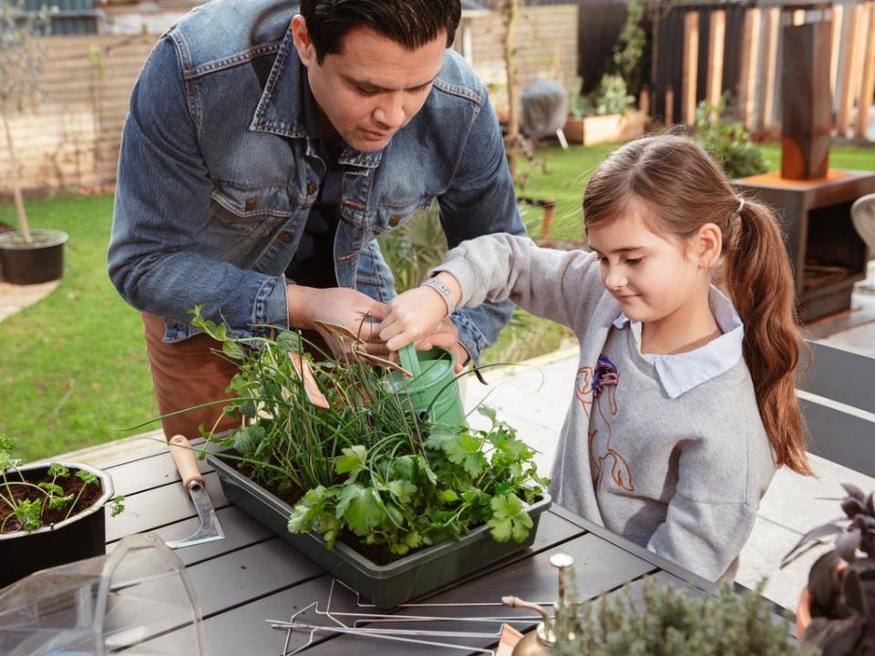  Father's Day gardening together | thejoyofplants.co.uk