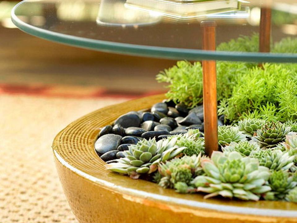 terrarium coffee table