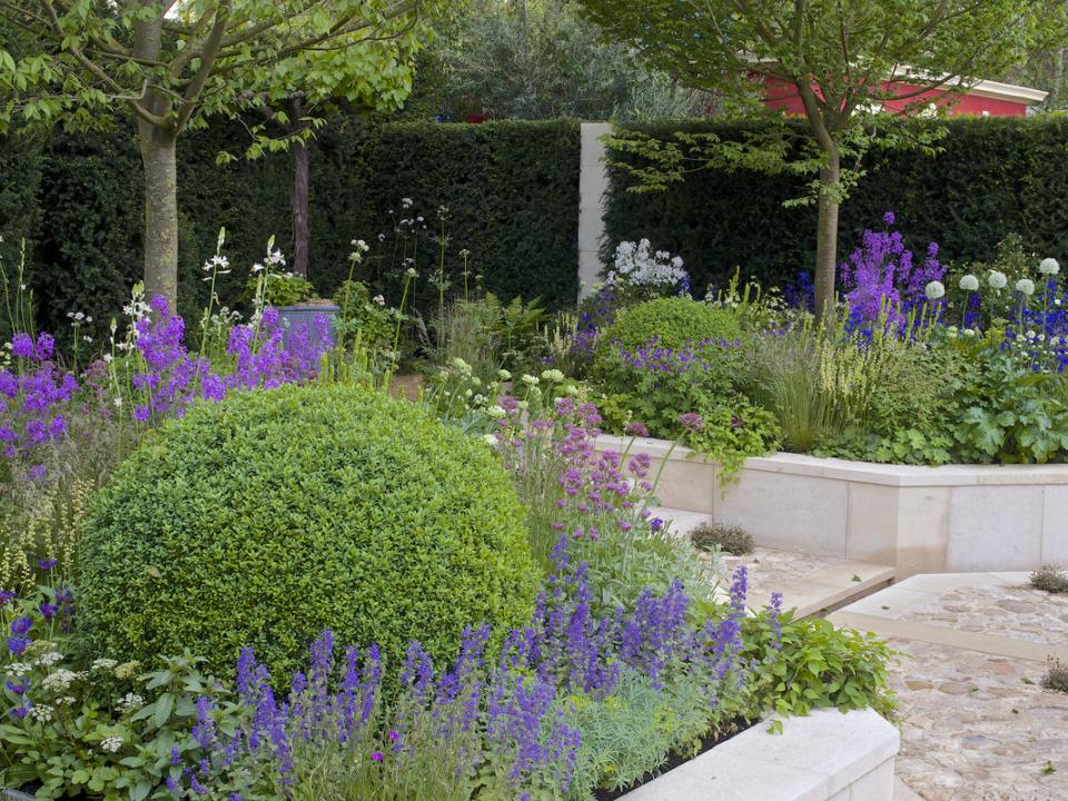 Virtual Chelsea Flower Show 2020 - Thejoyofplants.co.uk