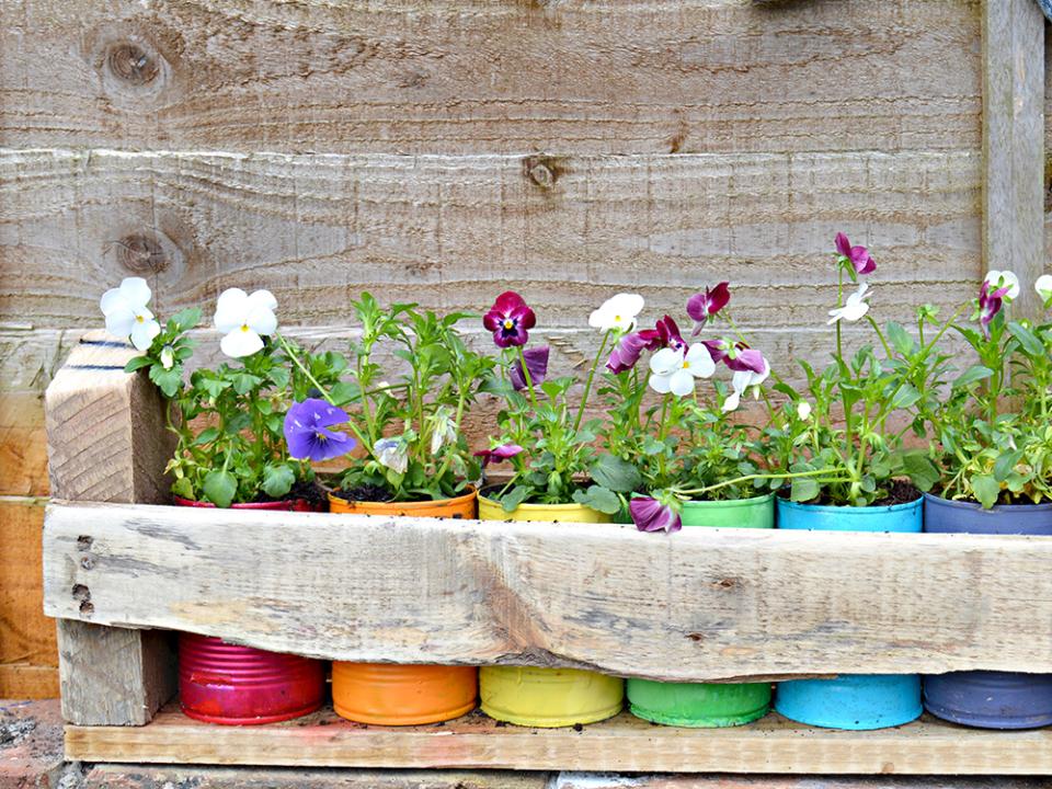 Tin can planters thejoyofplants.co.uk