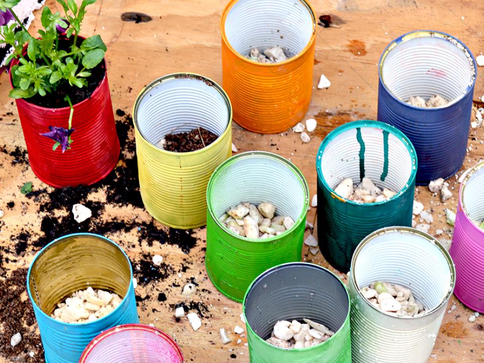 Tin can Planters Tin can planters thejoyofplants.co.uk