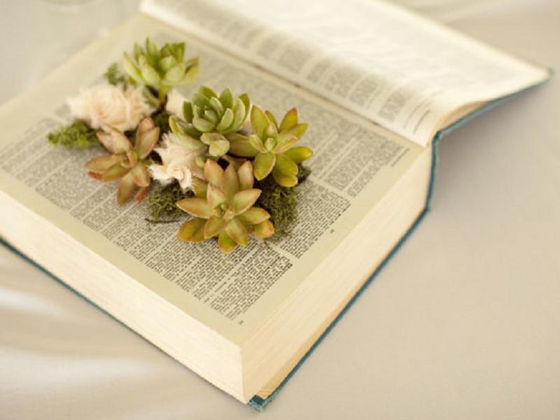 DIY Vintage book planter on thejoyofplants.co.uk