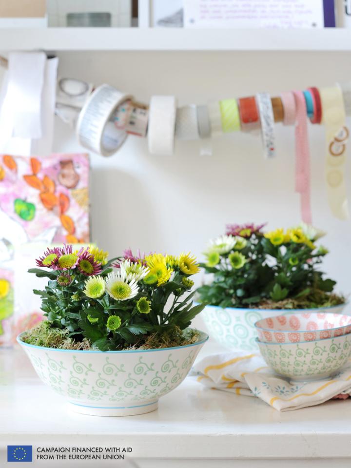    The Pot Mum is the Houseplant of the month of October 2014  thejoyofplants.co.uk