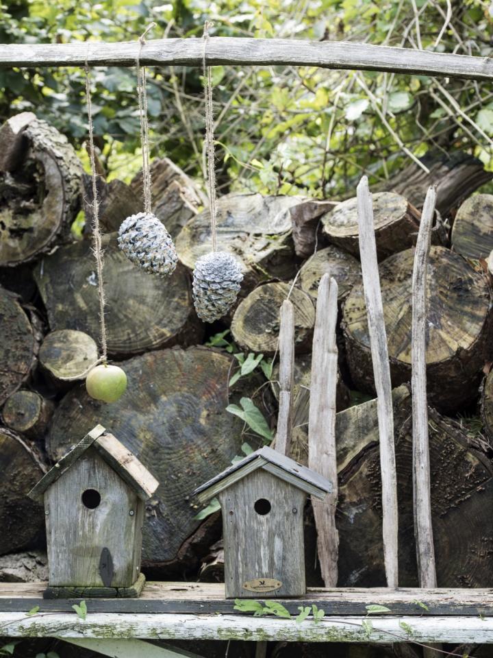 vogelhuisje | vogelvoer zelf maken diy