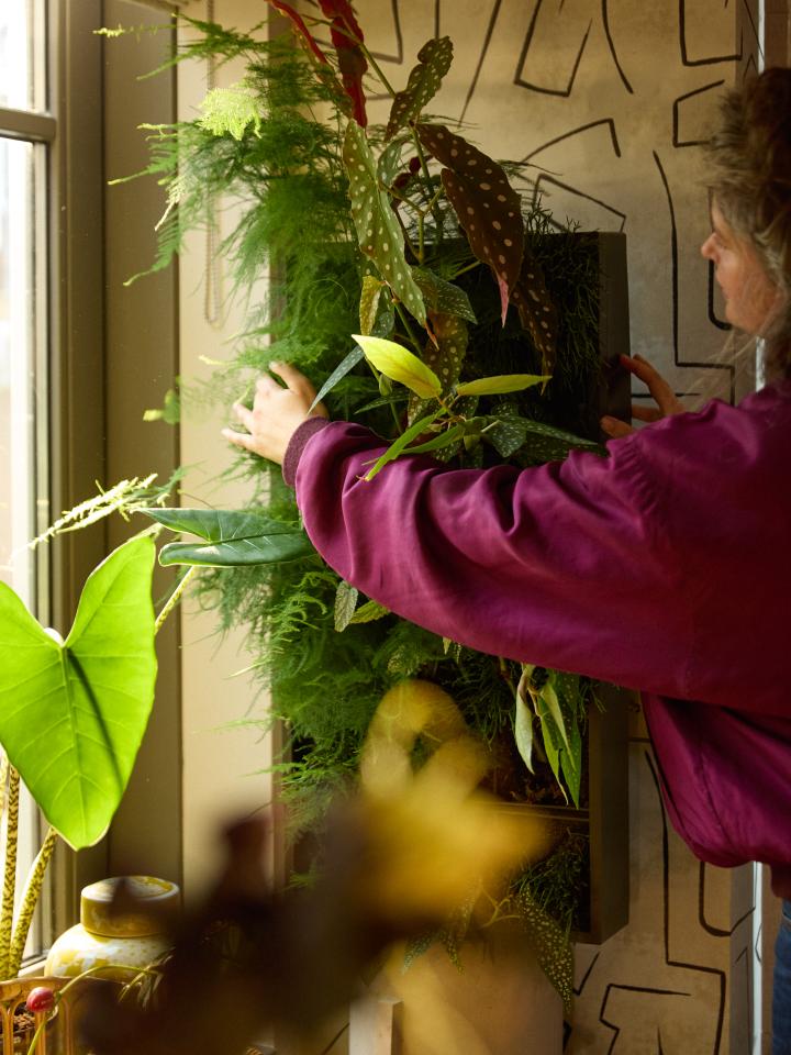 hangplanten