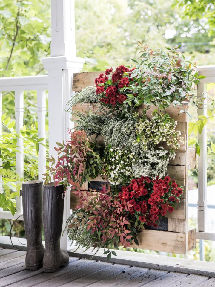 Front Porch Planter Ideas to Flaunt Your Flowers (With Photos!)