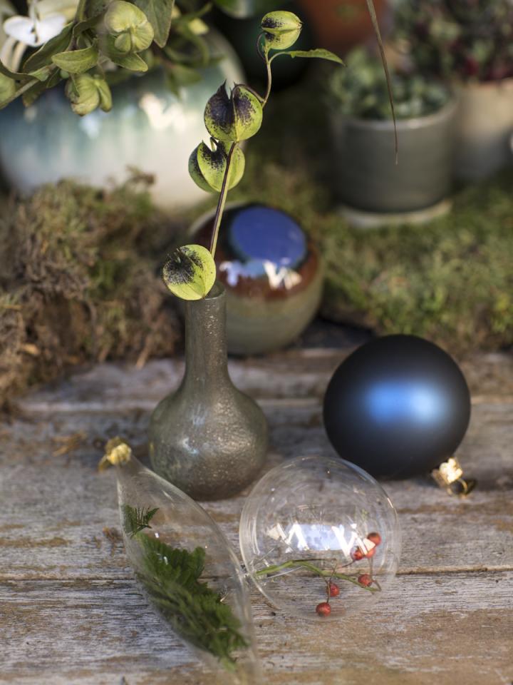 DIY: fill baubles with surprising greenery Thejoyofplants.co.uk