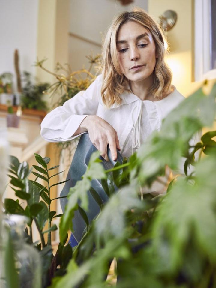 Home plant design | thejoyofplants.co.uk