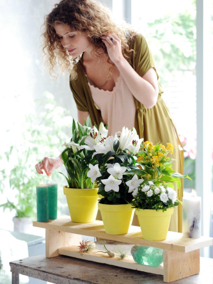 Binnestebuitenplanten DIY Mooiwatplantendoen.nl Binnestebuitenplanten DIY Mooiwatplantendoen.nl