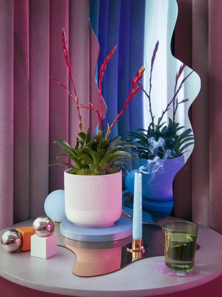 bromelia and calla altar 