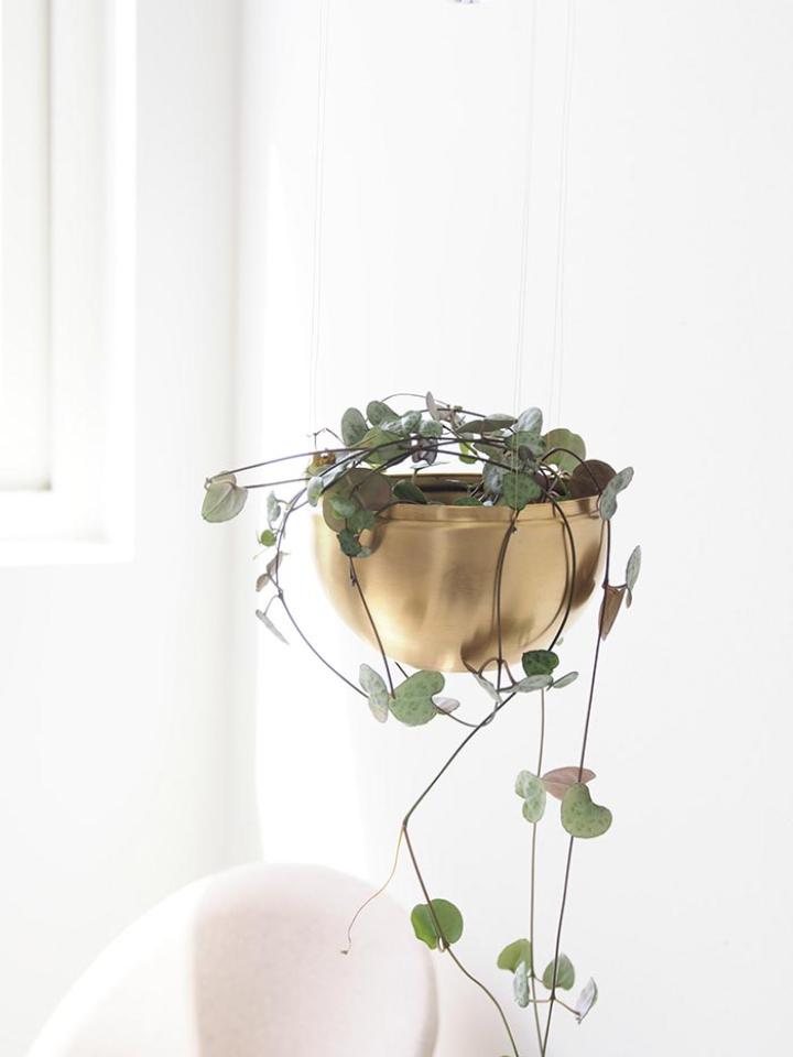 Hanging plant lamp deals