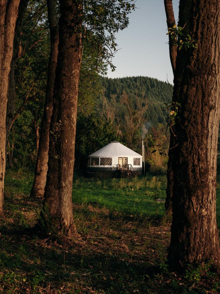 Groene oase in een yurt: Plant Design project mooiwatplantendoen