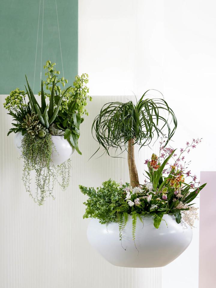 Autumn/Winter 2020 Trend "Inner Retreat" | Thejoyofplants.co.uk