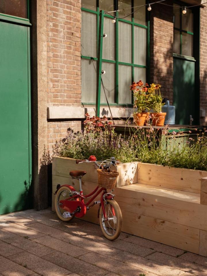 a green garden bench thejoyofplants.co.uk