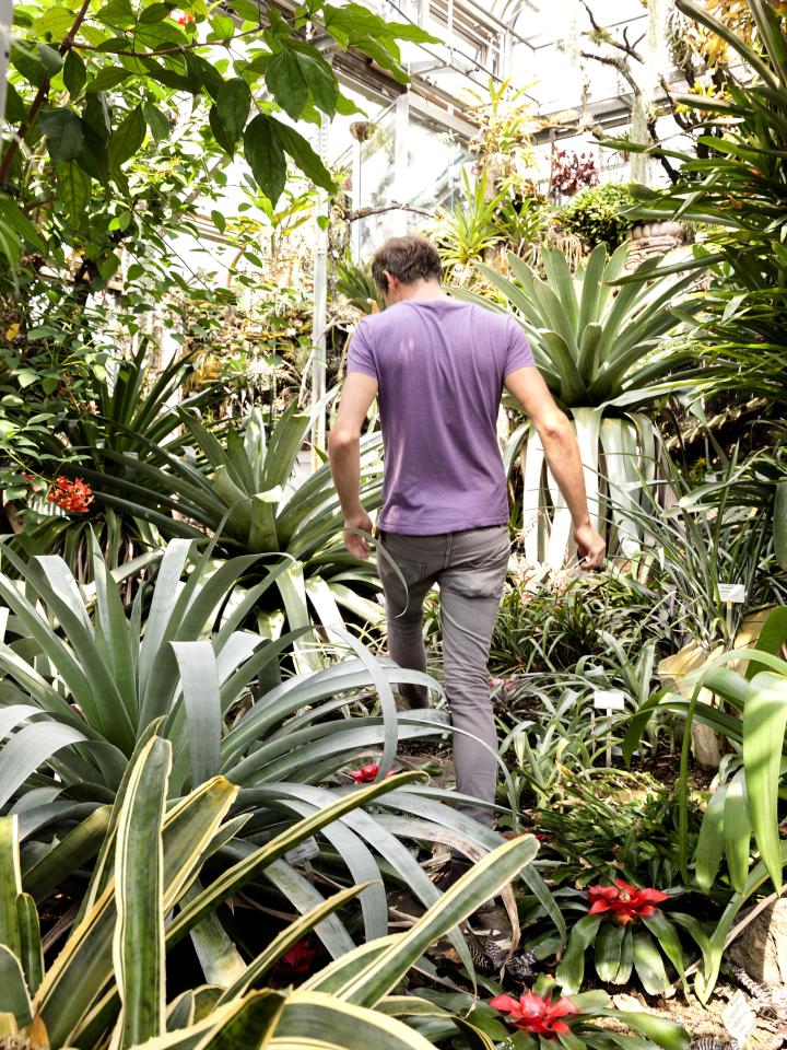 Hortus aan huis: net als de hortus botanicus in Berlijn Hortus aan huis: net als de hortus botanicus in Berlijn Mooiwatplantendoen.nl