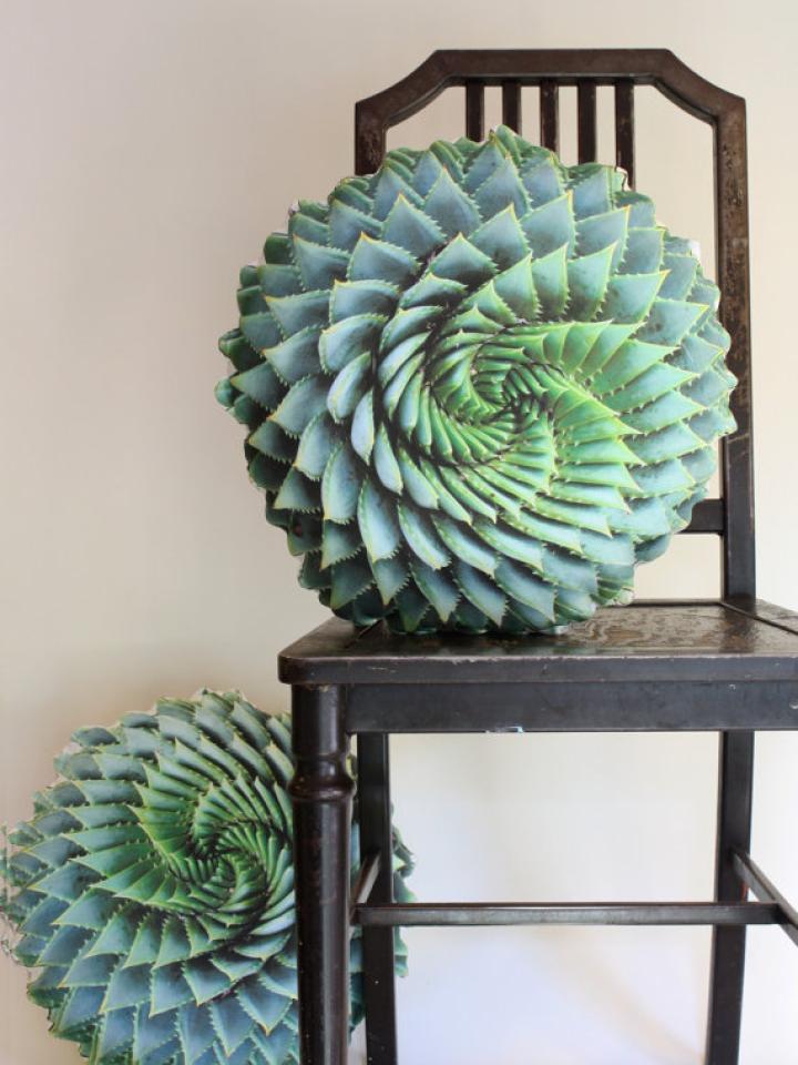 Spiral Succulent decorative pillow