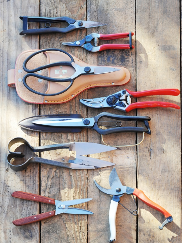 Best secateurs store monty don