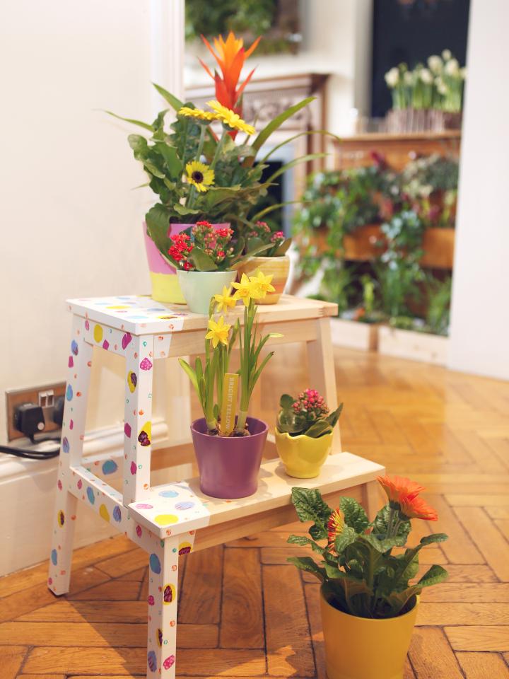 Stencil a plain stepping stool and use it as a tiered plant display
