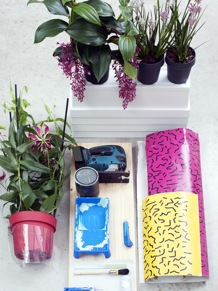 Tropische schoonheden Mooiwatplantendoen.nl Woonplant van de maand DIY Tropische schoonheden Mooiwatplantendoen.nl Woonplant van de maand DIY