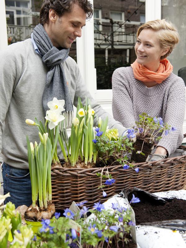 Bloembollen planten